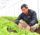 Cao Lộc: Phát triển vùng rau an toàn