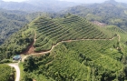 Triển vọng mô hình kinh tế trang trại trên núi Khau Hương