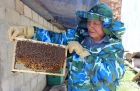 Hòa Bình: Triển vọng từ mô hình nuôi ong lấy mật