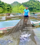 Cựu chiến binh Đinh Văn Ngọc làm giàu từ nuôi cá lồng