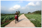 Xây dựng nông thôn mới ở Lộc Bình: Chủ động xã điểm