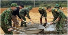 Bộ đội Biên phòng tỉnh: Dấu ấn xây dựng nông thôn mới