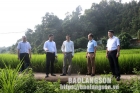 Kiểm tra tiến độ xây dựng nông thôn mới tại huyện Cao Lộc