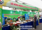 Hơn 35 sản phẩm OCOP và nông sản đặc trưng của tỉnh Lạng Sơn được quảng bá tại Hà Nội