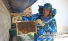 Văn Quan: Phát triển mô hình nuôi ong lấy mật