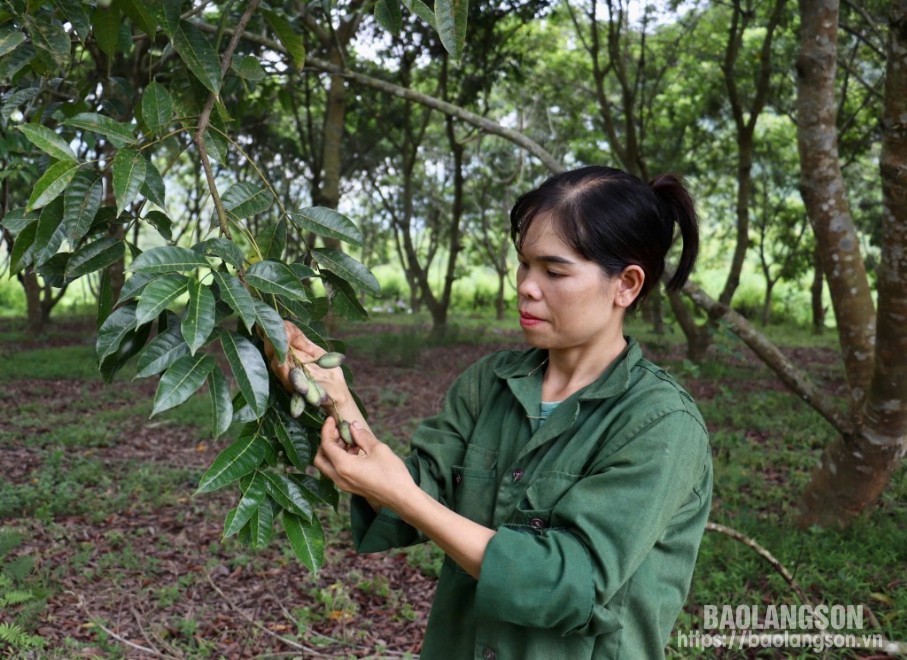 482366 481639 img 599 20485219 08183422